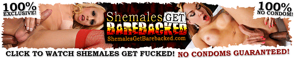 Shemales Get Barebacked Banner